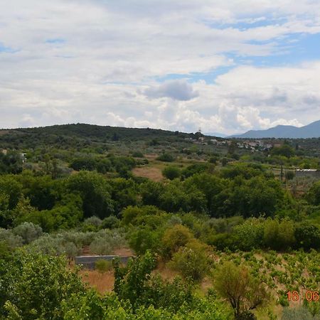 אדיפסוס Eleni'S Village Relaxation Home מראה חיצוני תמונה