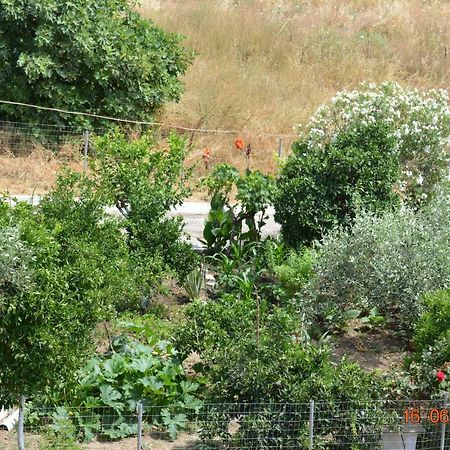 אדיפסוס Eleni'S Village Relaxation Home מראה חיצוני תמונה
