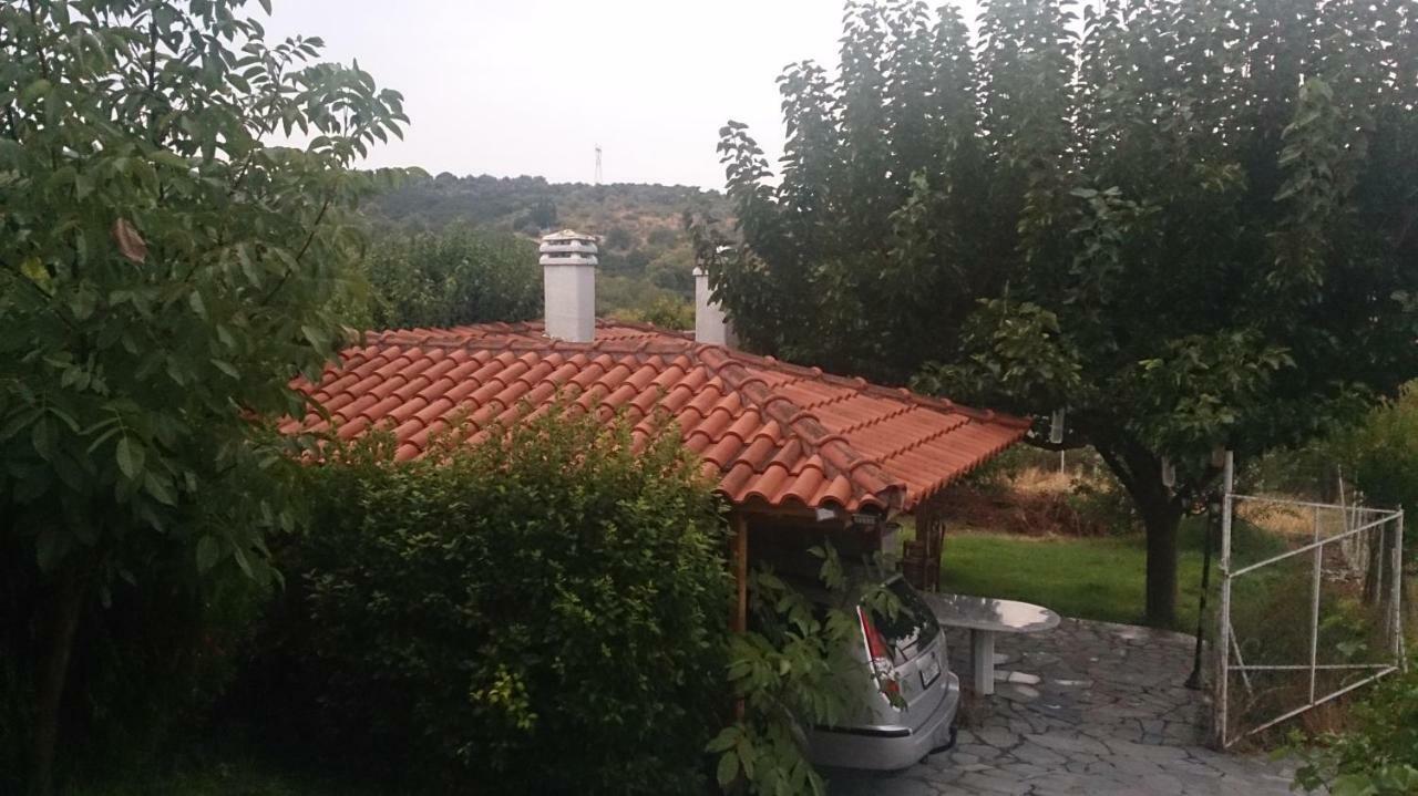 אדיפסוס Eleni'S Village Relaxation Home מראה חיצוני תמונה