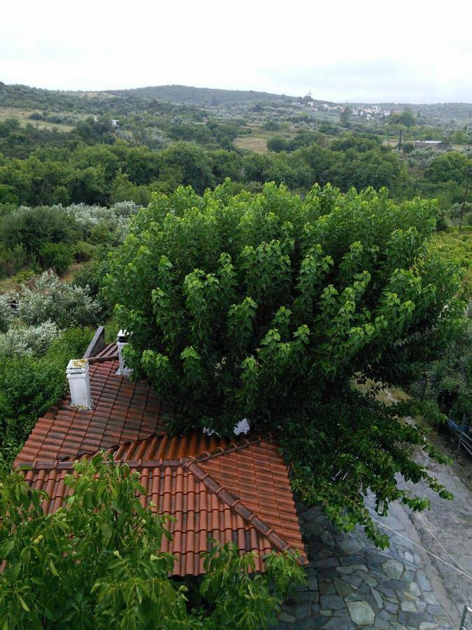 אדיפסוס Eleni'S Village Relaxation Home מראה חיצוני תמונה