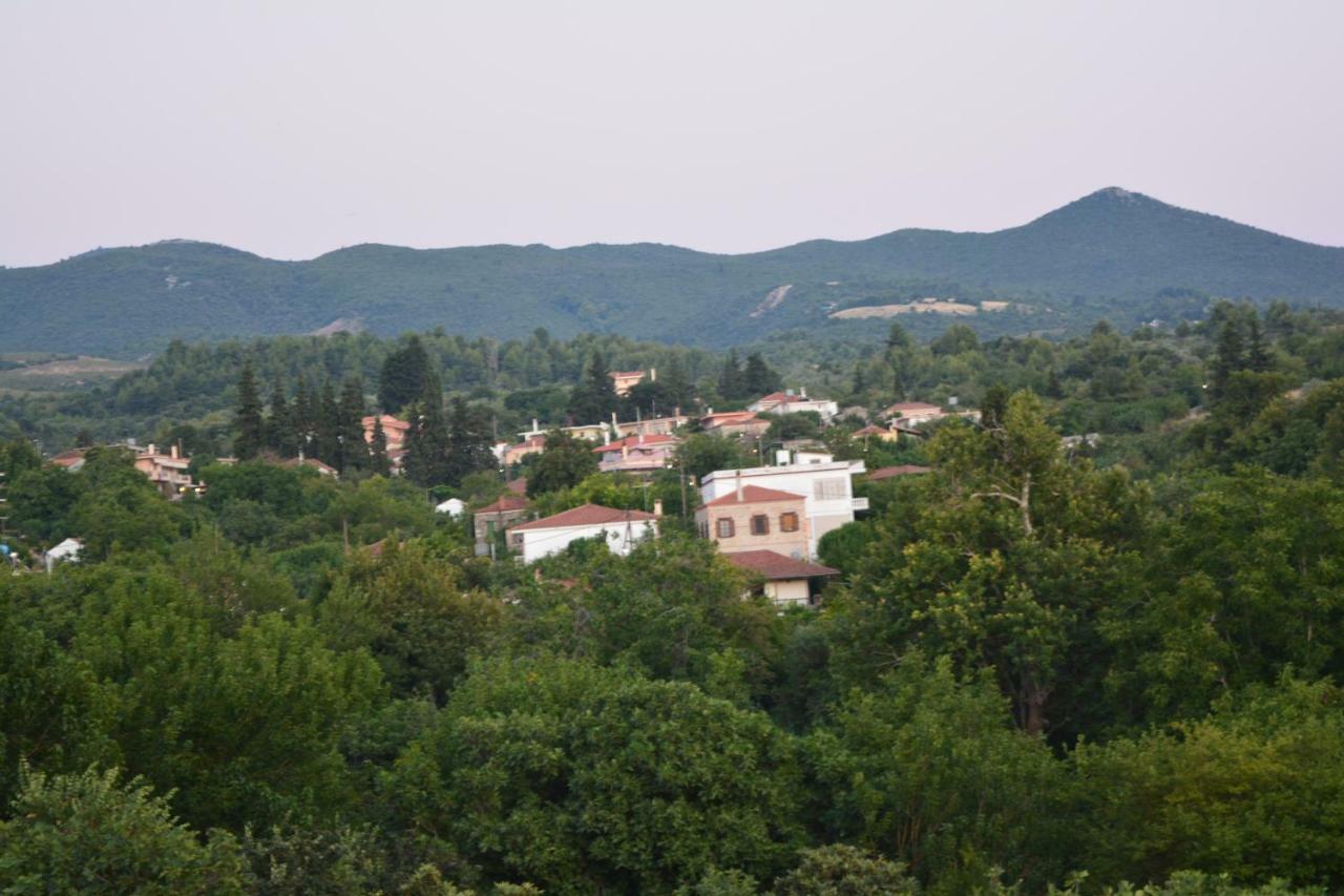 אדיפסוס Eleni'S Village Relaxation Home מראה חיצוני תמונה