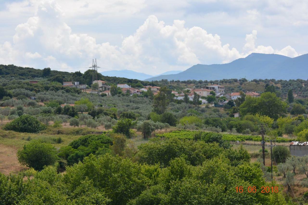 אדיפסוס Eleni'S Village Relaxation Home מראה חיצוני תמונה