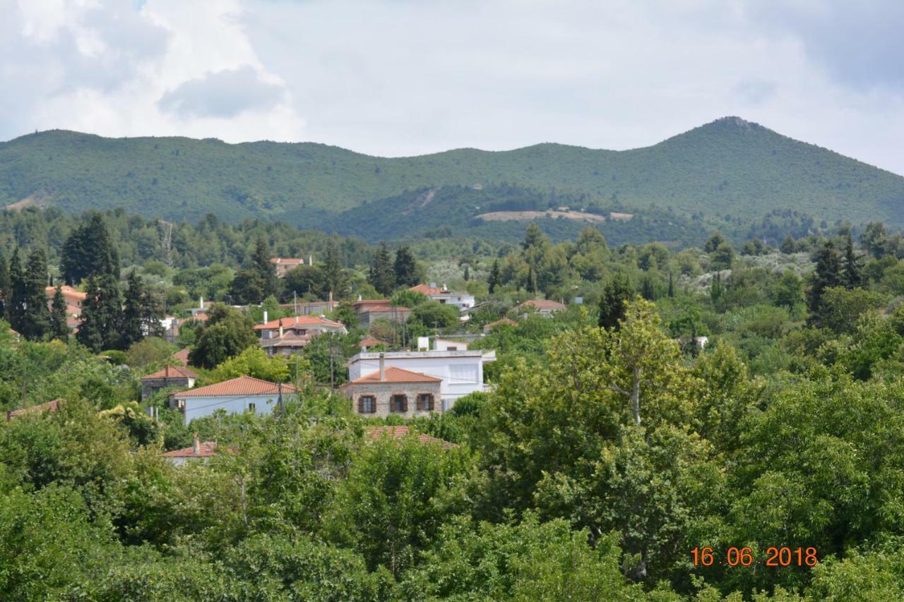 אדיפסוס Eleni'S Village Relaxation Home מראה חיצוני תמונה